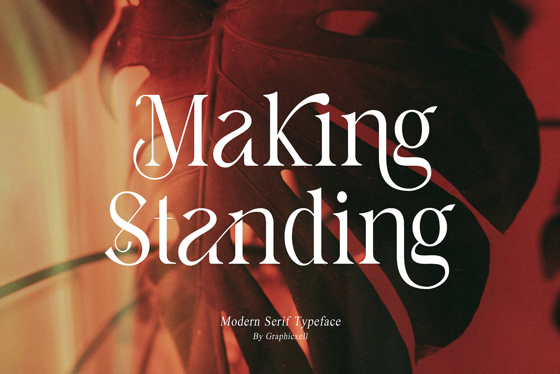 Making Standing 1