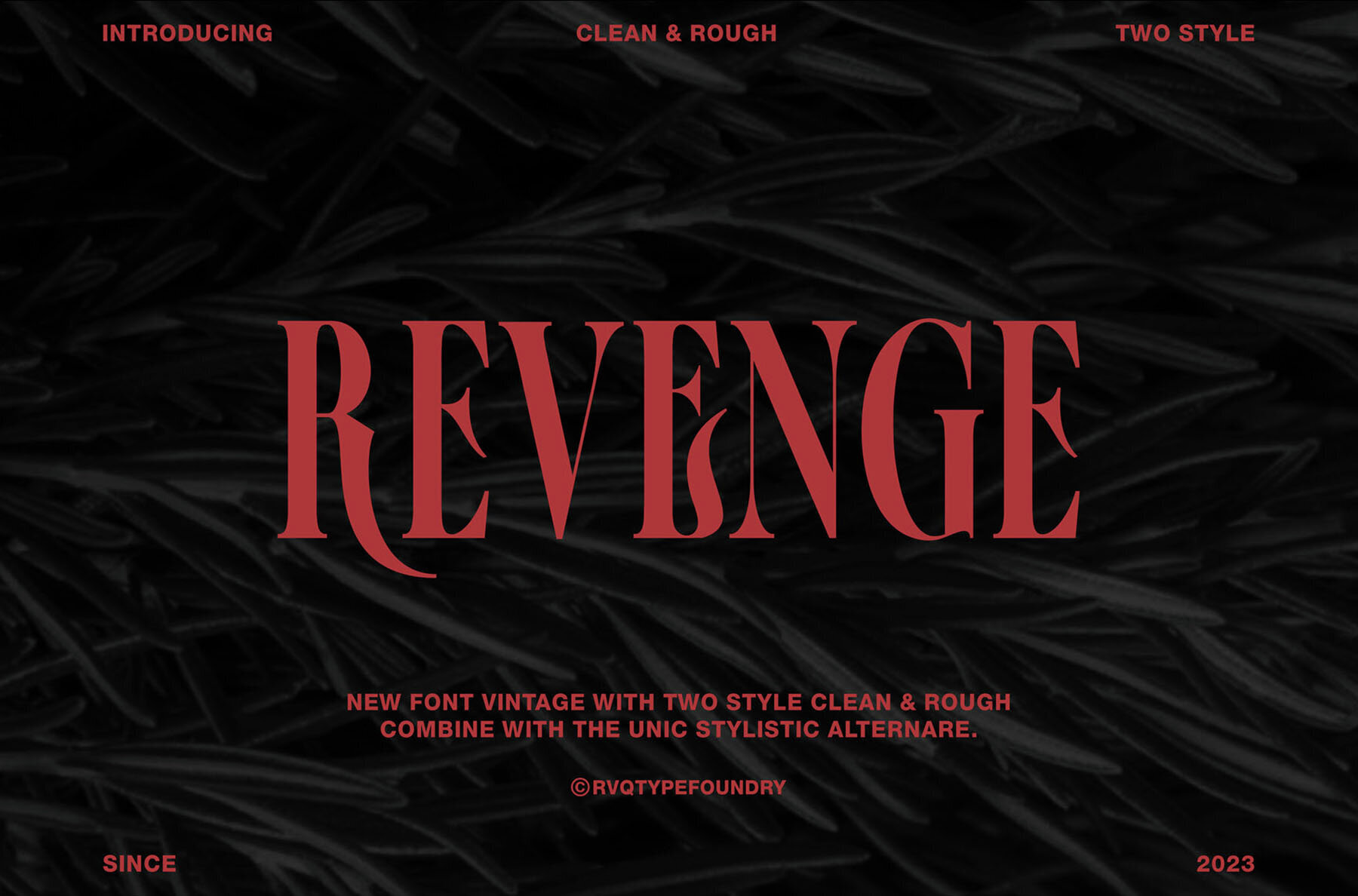 Revenge 1
