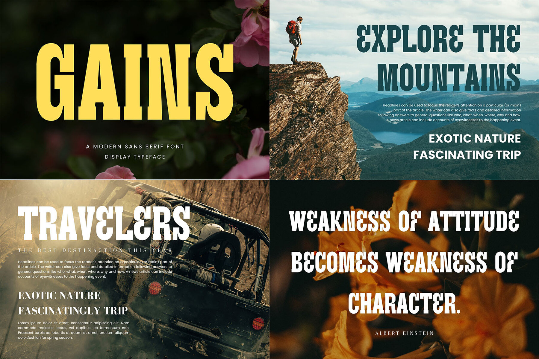 Best Bundle 50 Sans Serif 43