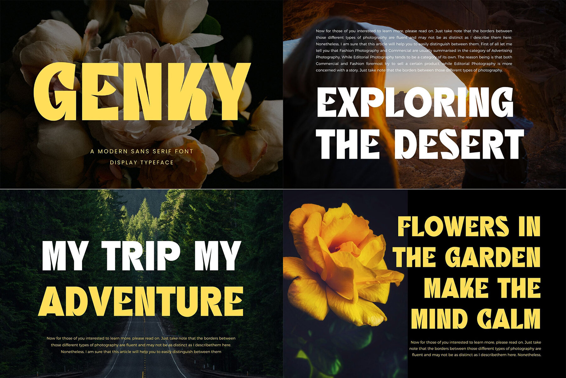 Best Bundle 50 Sans Serif 47