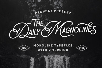 Daily Magnolines