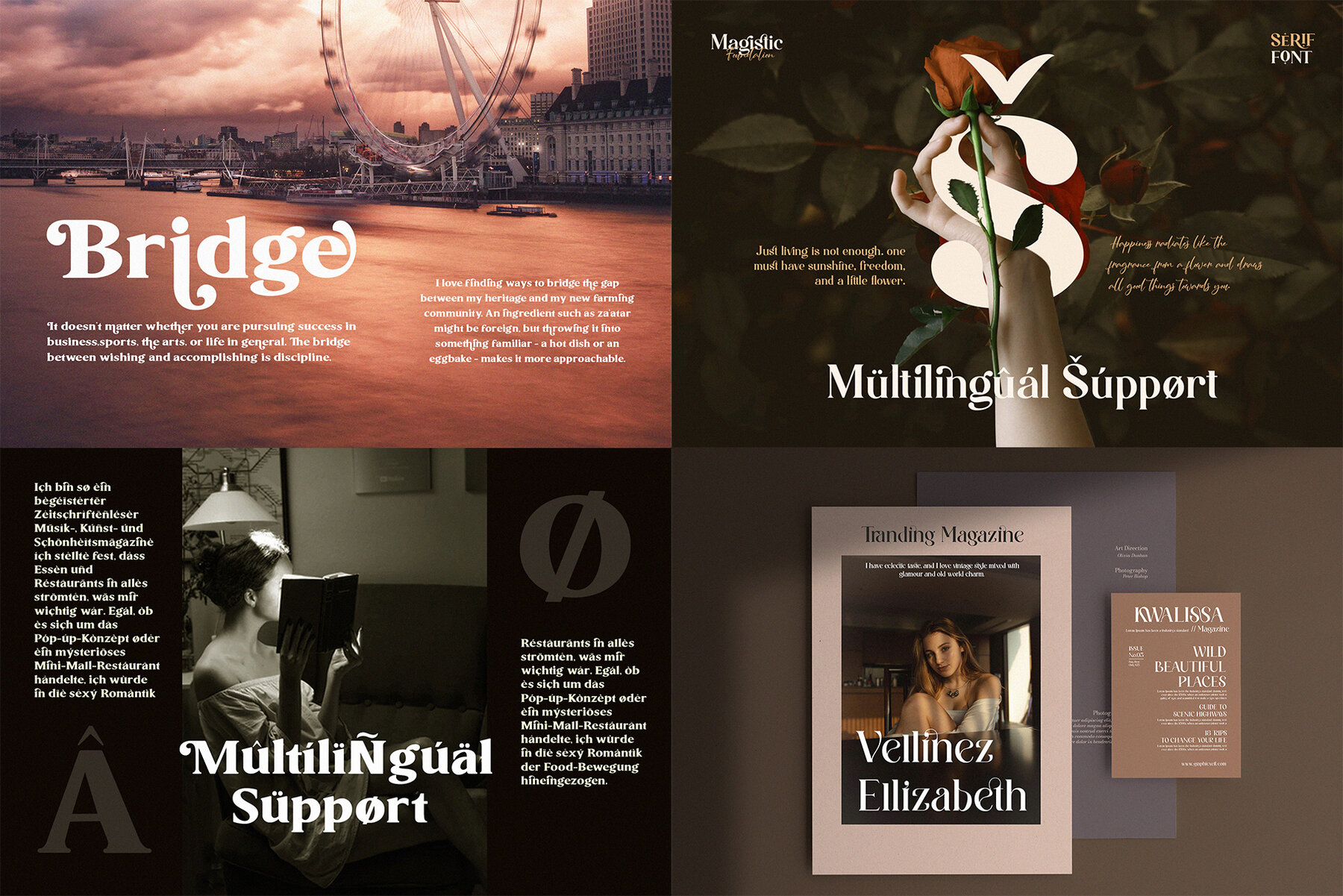 Ligature Serif Font Bundle 18