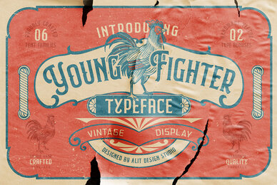 Young Fighter