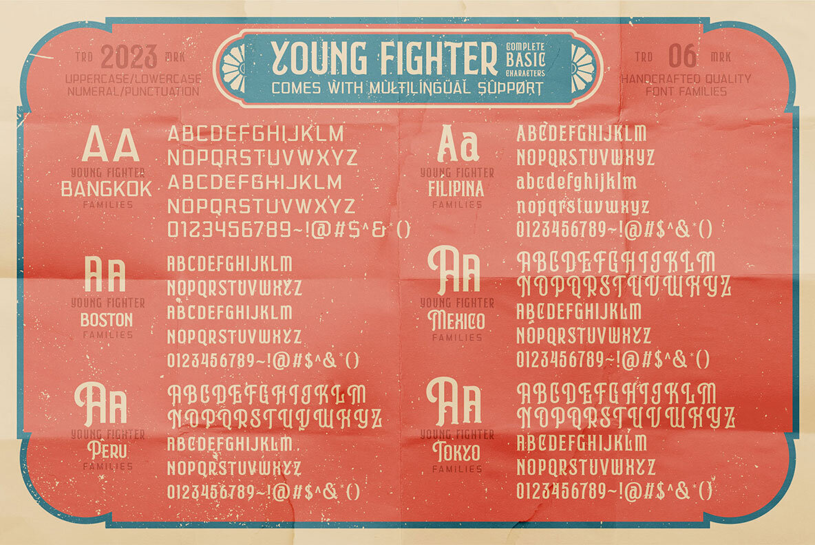 Young Fighter 3