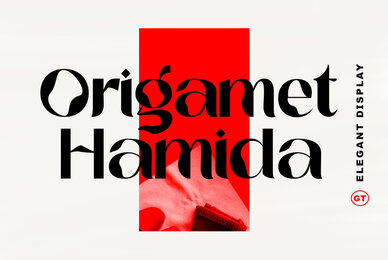 Origament Hamida