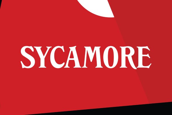 Sycamore Sycamore