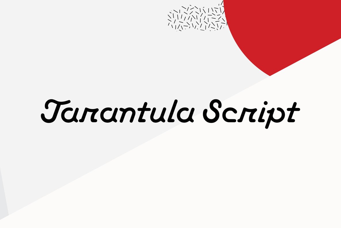 Tarantula Tarantula