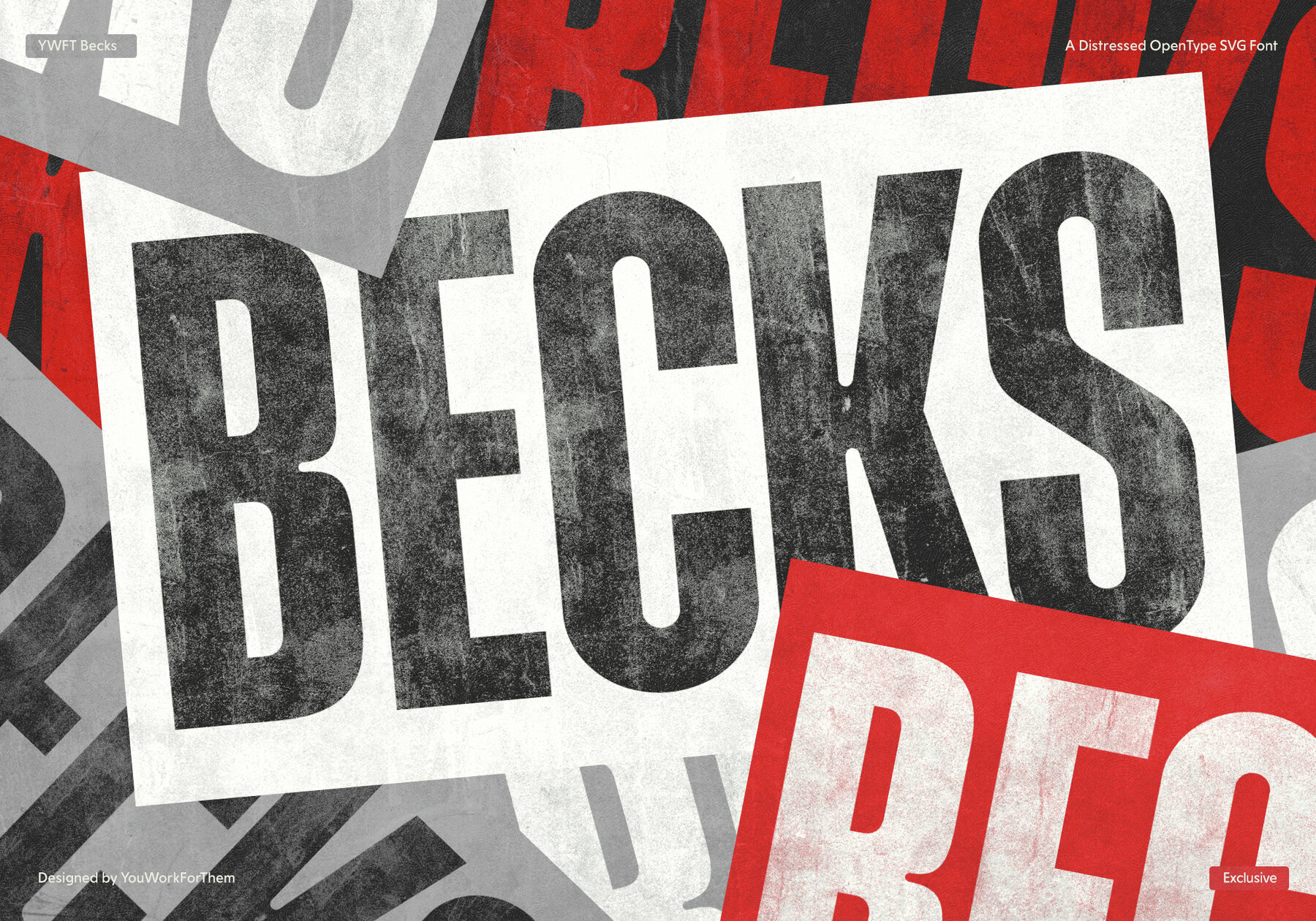YWFT Becks 8