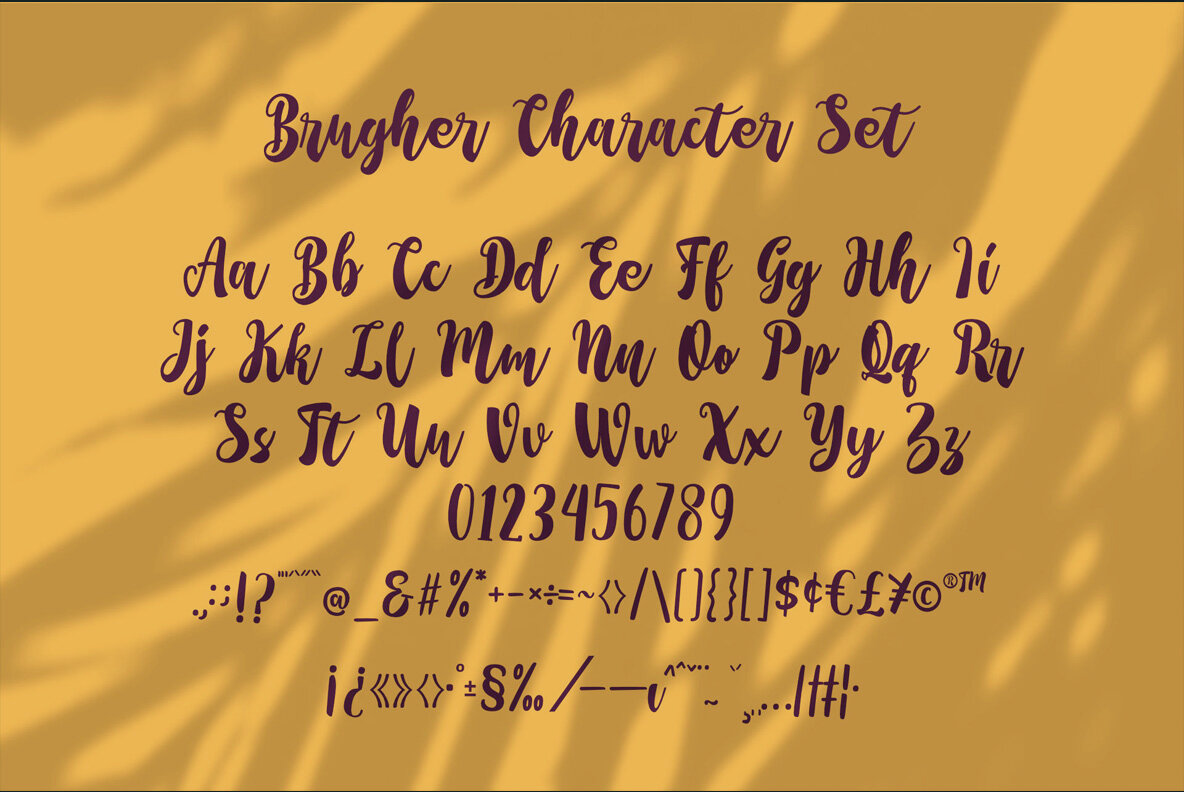 Brugher 5