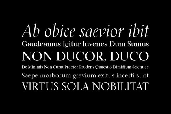Kumlien Pro Kumlien Pro