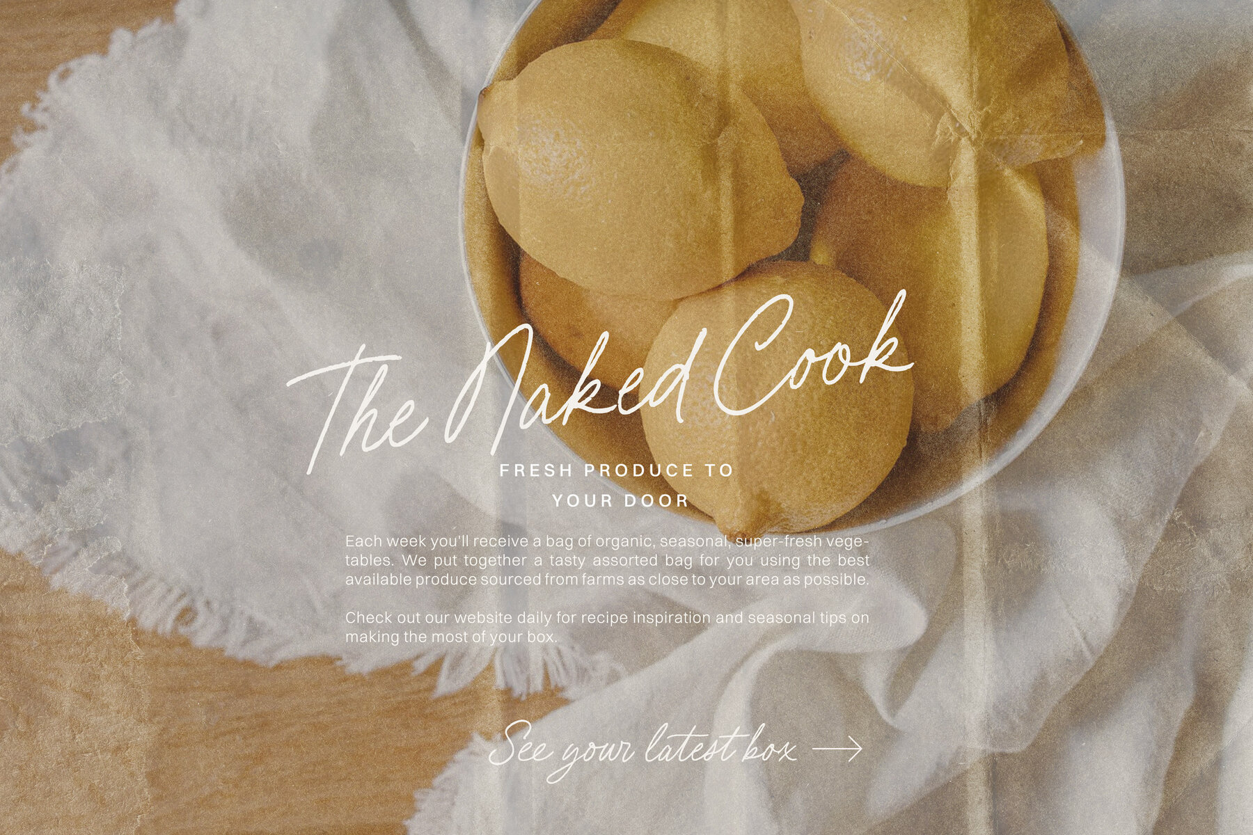 Beach Bound Pencil Script 14