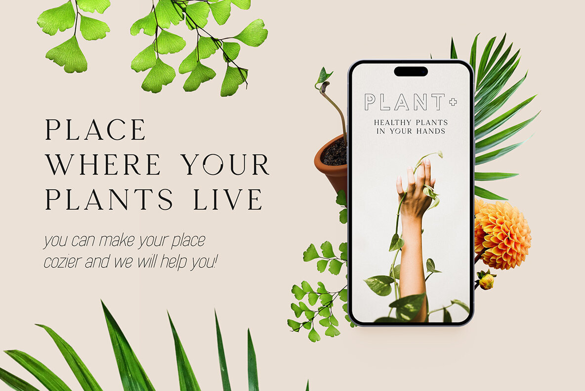 When Azora meets Seafont   font duo 12