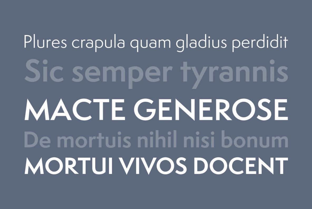 Semplicita Pro Desktop Font & WebFont YouWorkForThem