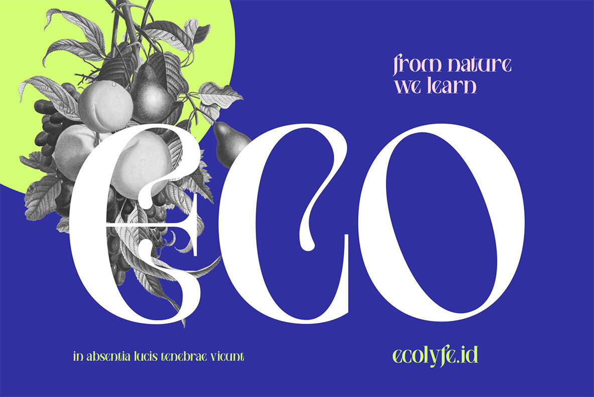 NCL Saigefy Cebahixa 3