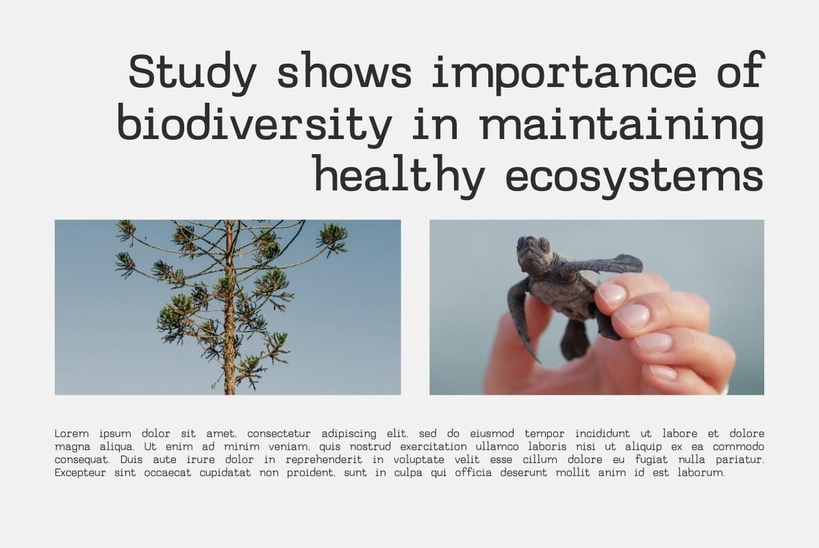 Gelato Typewriter 10