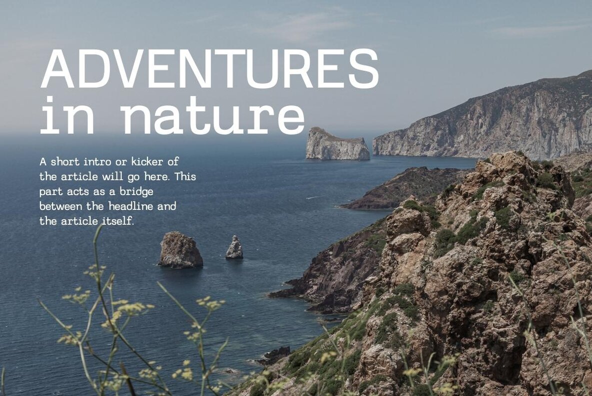 Gelato Typewriter 14