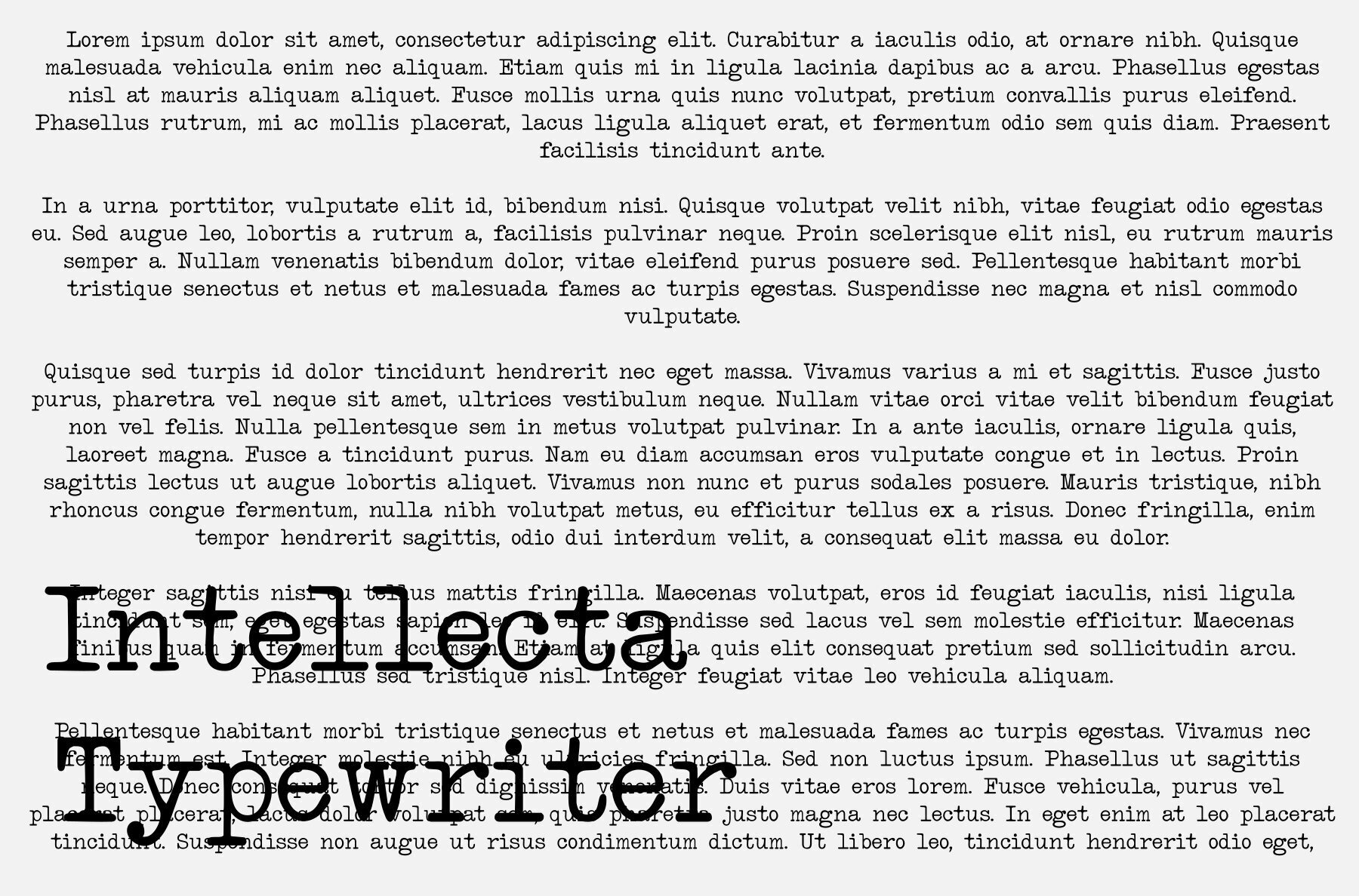 Intellecta Typewriter 1