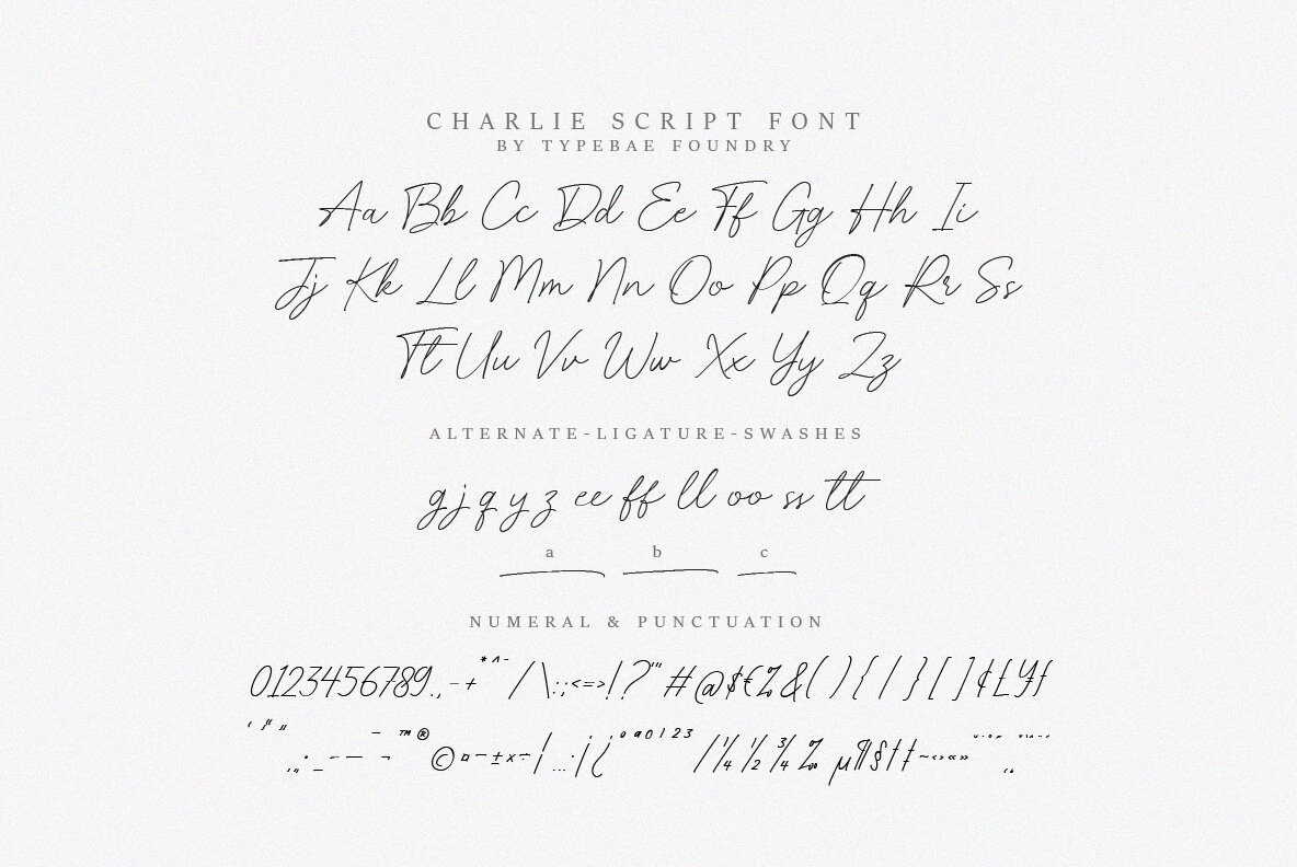 Charlie Script 7
