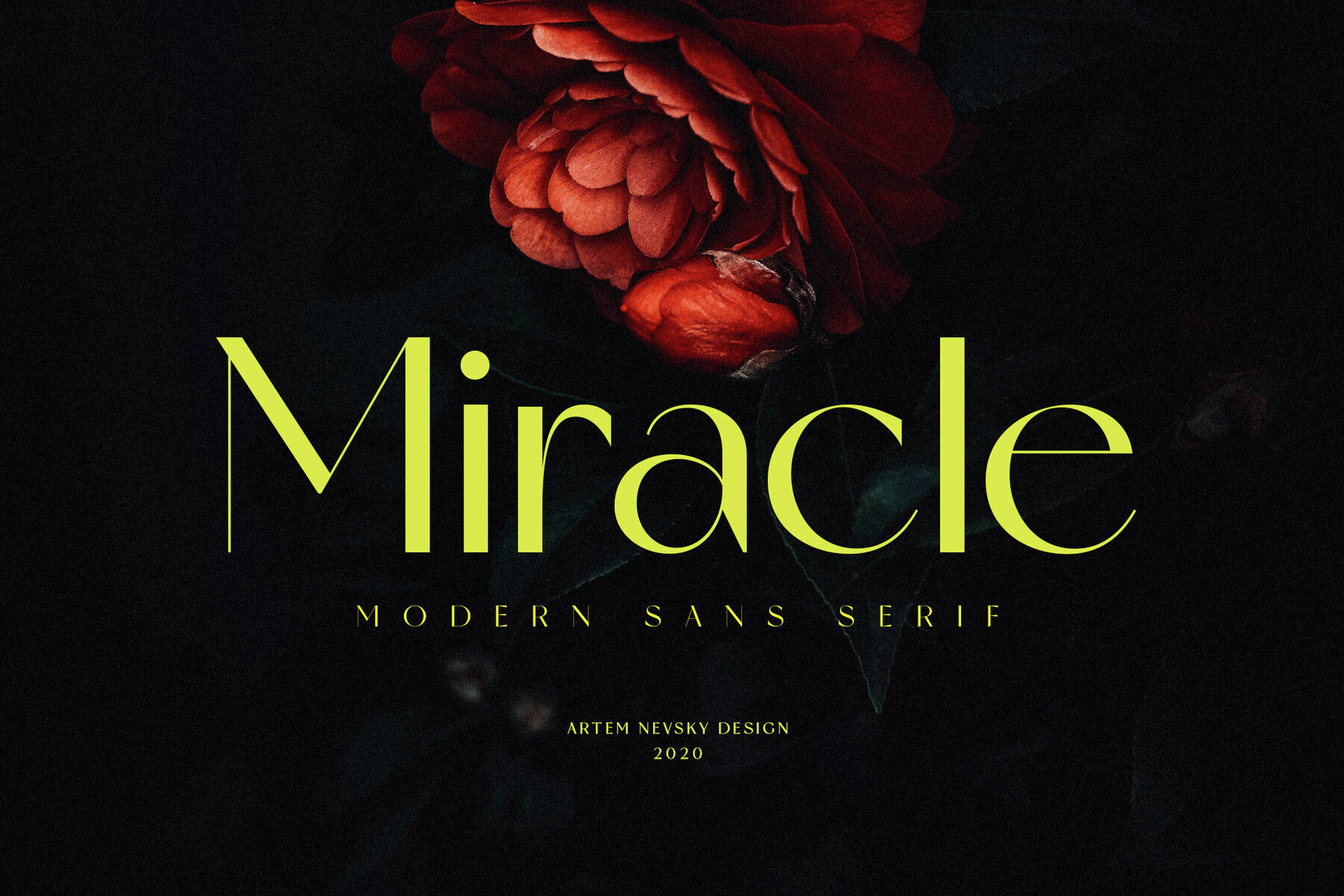 Miracle 1