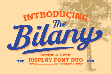 The Bilany