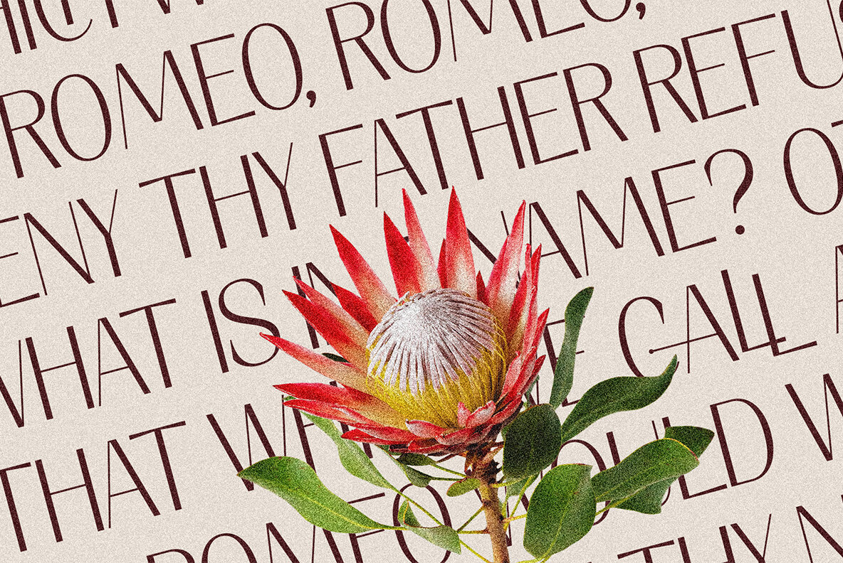 Elio And Oliver v2 14