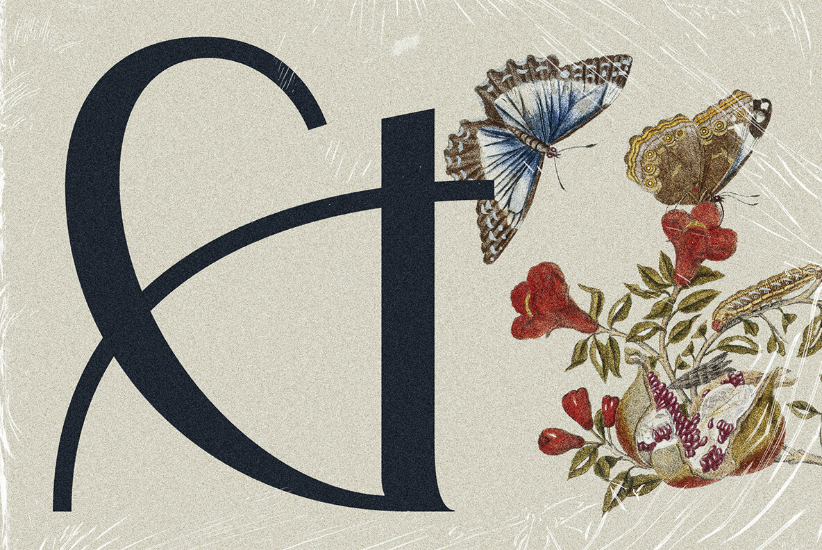 Elio And Oliver v2 20