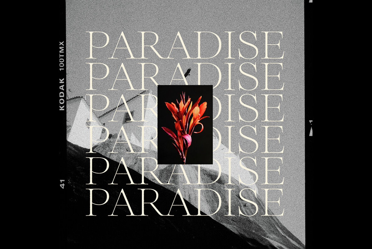 Auckland Variable 18