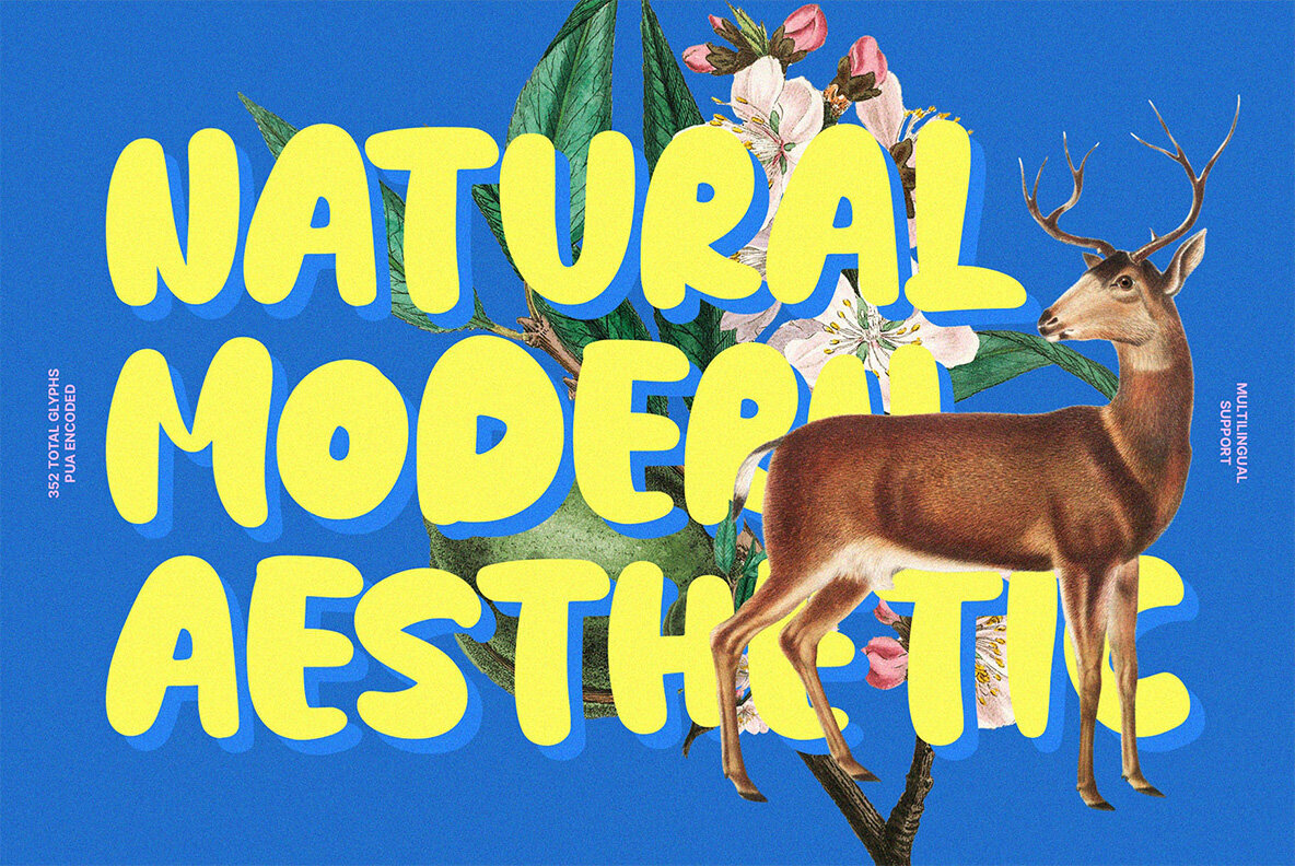 NCL Fatboy Onishuke 3