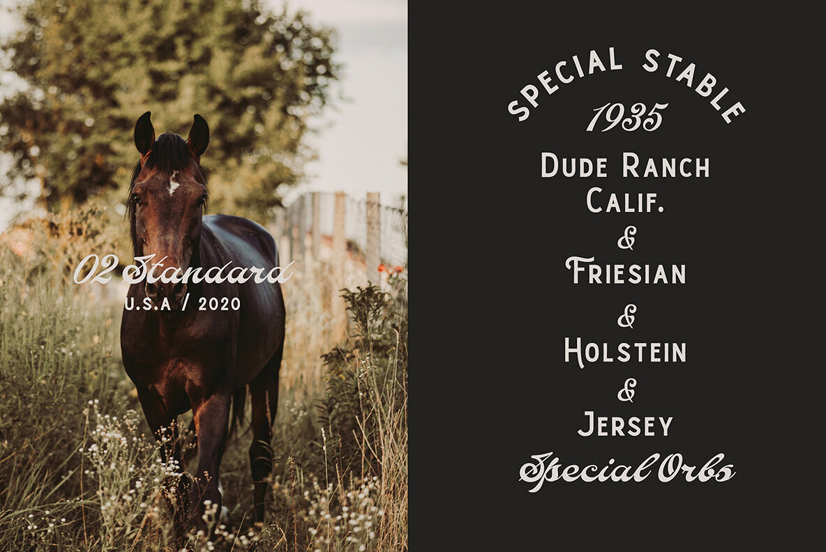 AT Alistair Font Duo 3