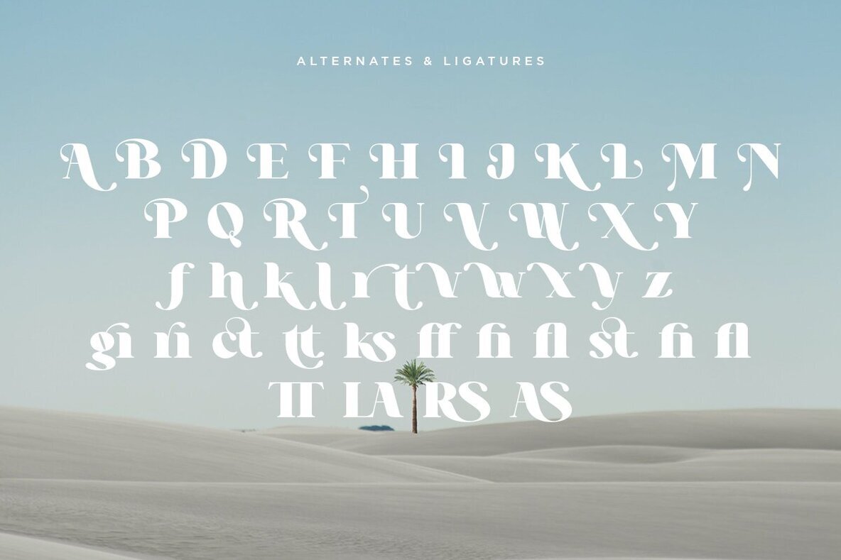 Different Cultures 3