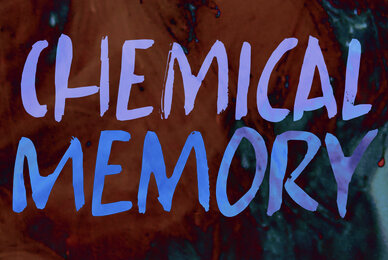 Chemical Memory