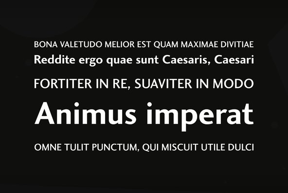 Charlotte Sans Charlotte Sans