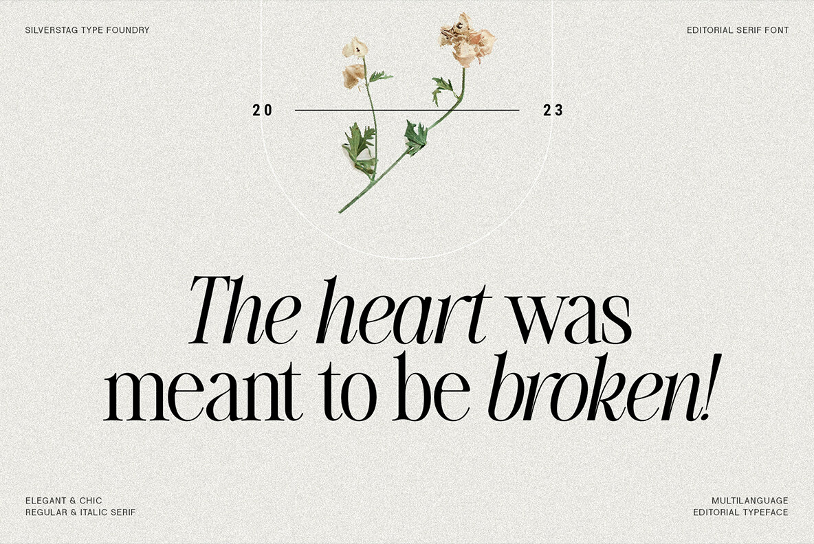 The Silver Editorial 22