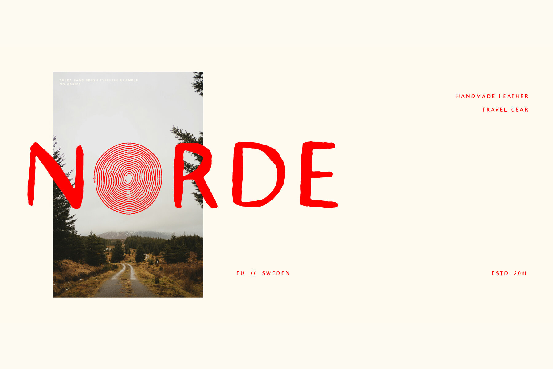 TC Avera Sans Brush 3