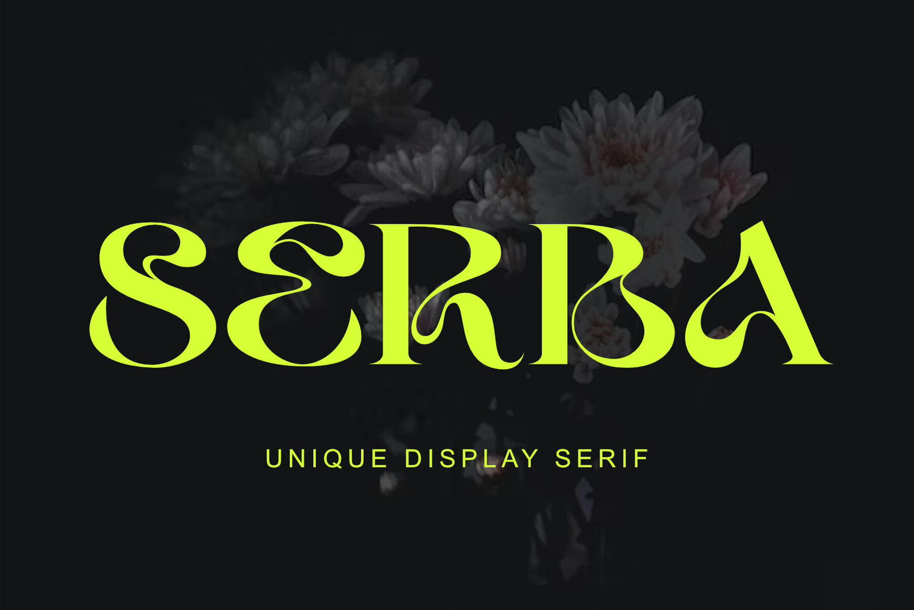 Serba 1