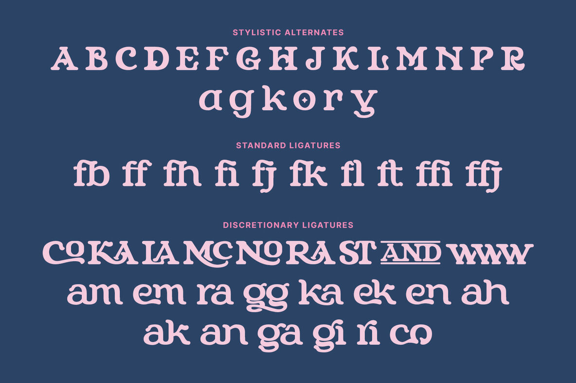 MN Niraloka Extended 13