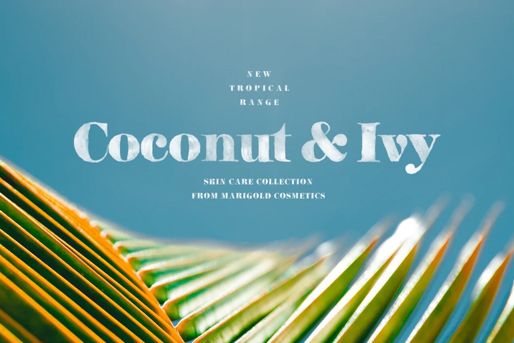 Kimberly Watercolor SVG 2