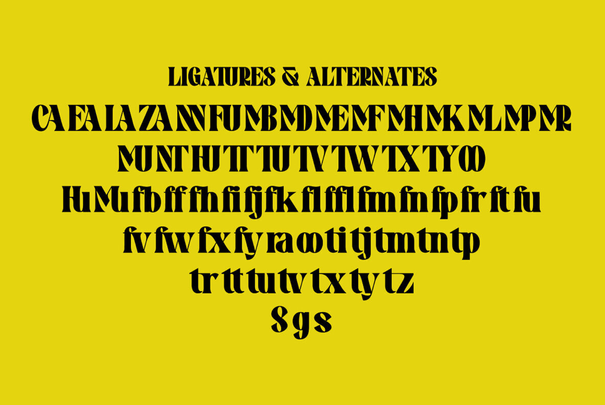 Pronema Serif 3