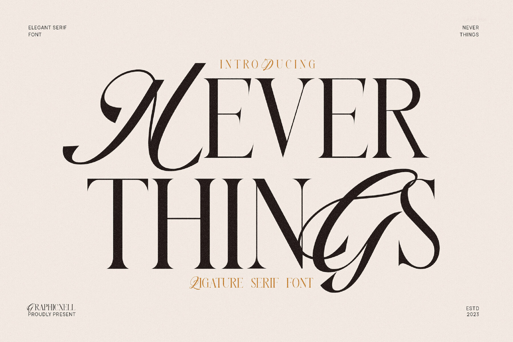 Never Things 1
