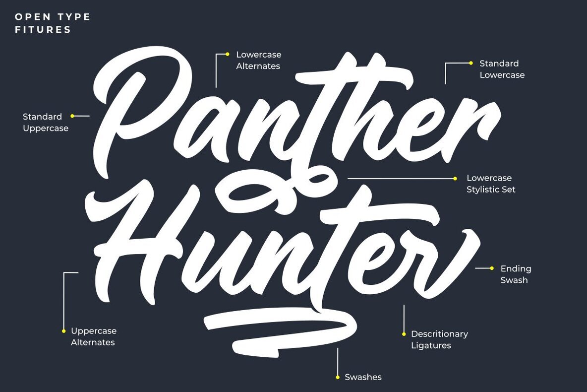 Panther Hunter 2