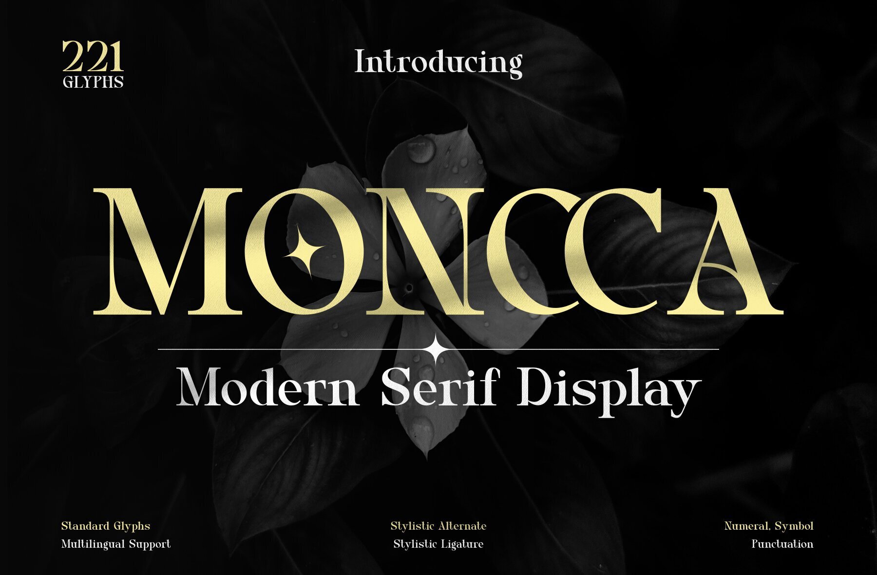 Moncca 1