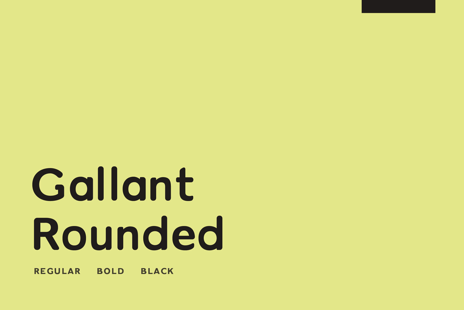 Gallant Rounded 1