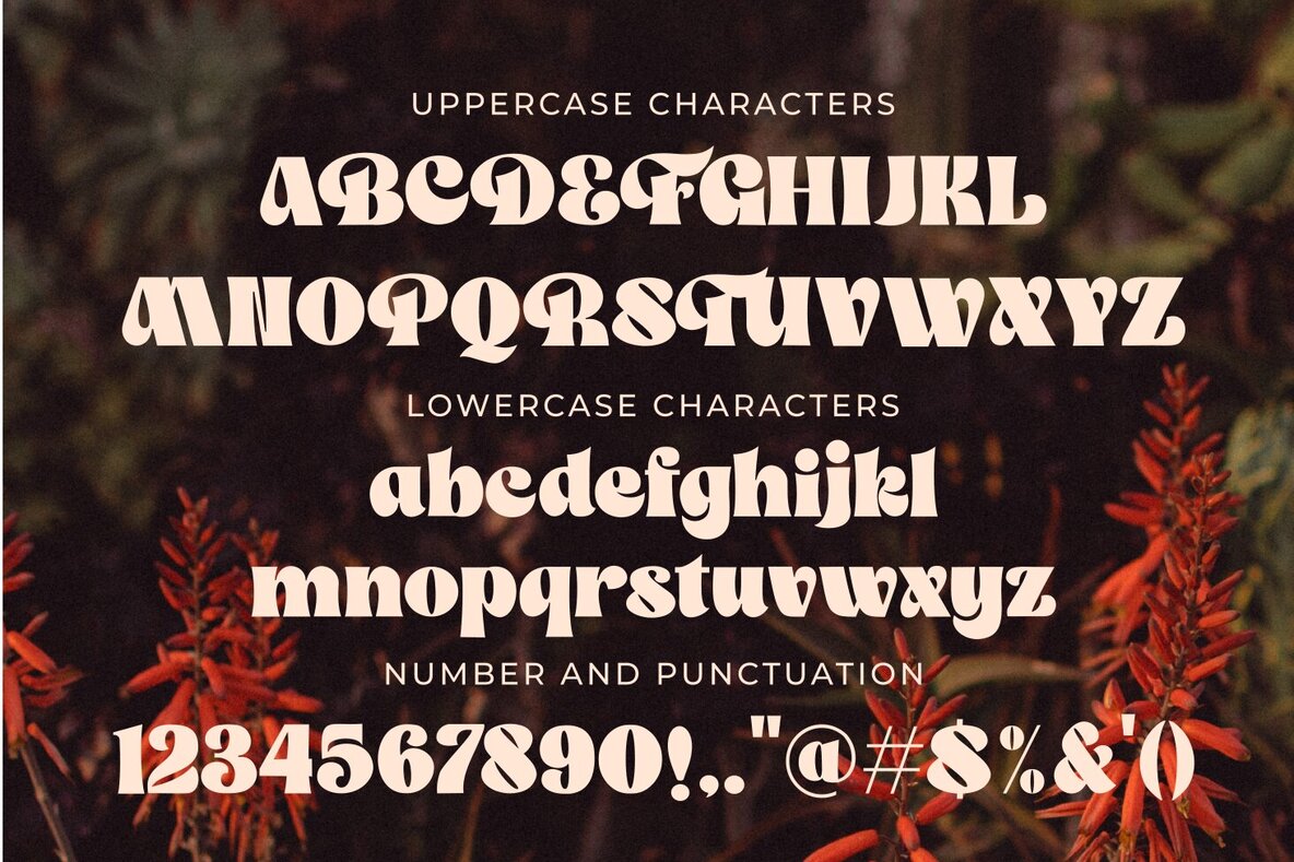 The Franky Dunkey 13