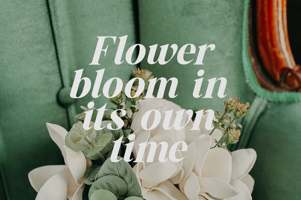 The Billion Butterfly 3