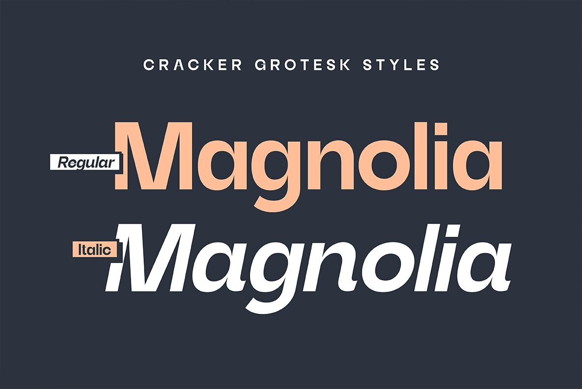 Cracker Grotesk 12