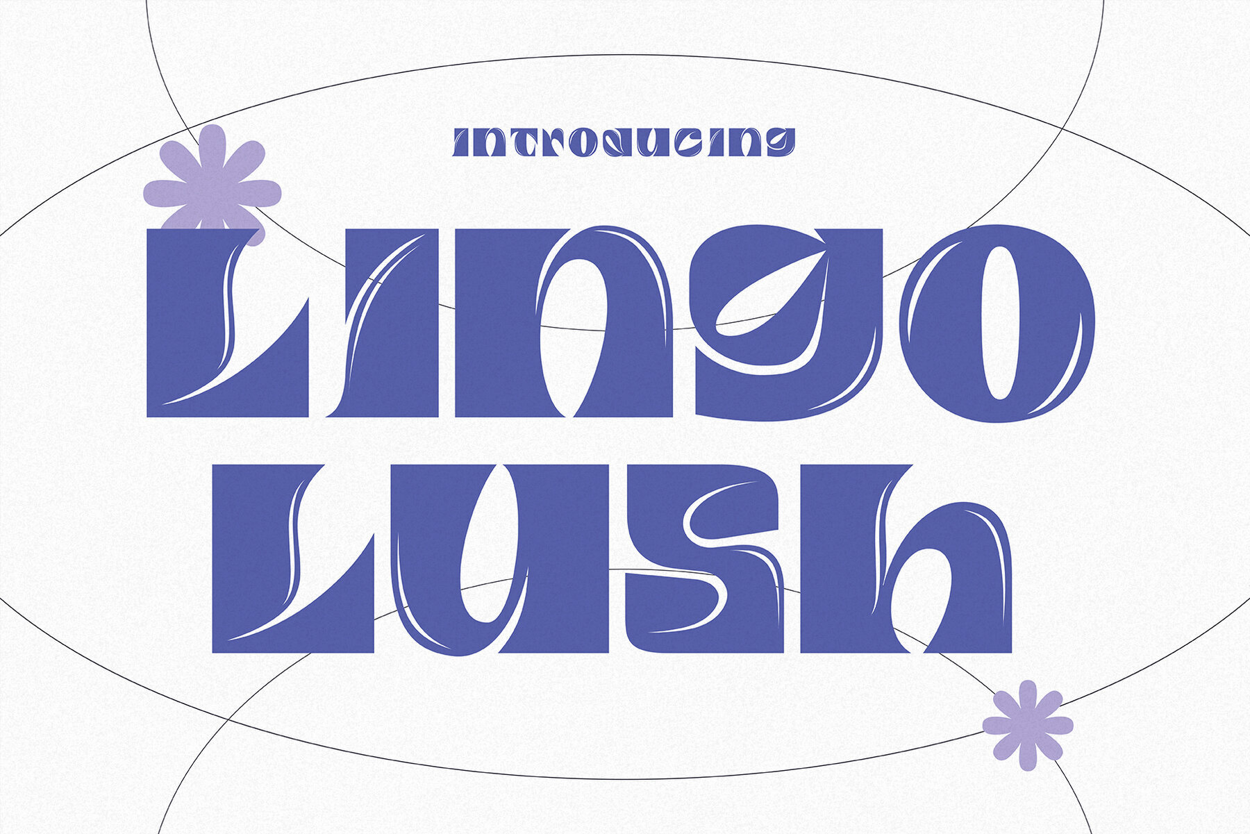 Lingo Lush 1