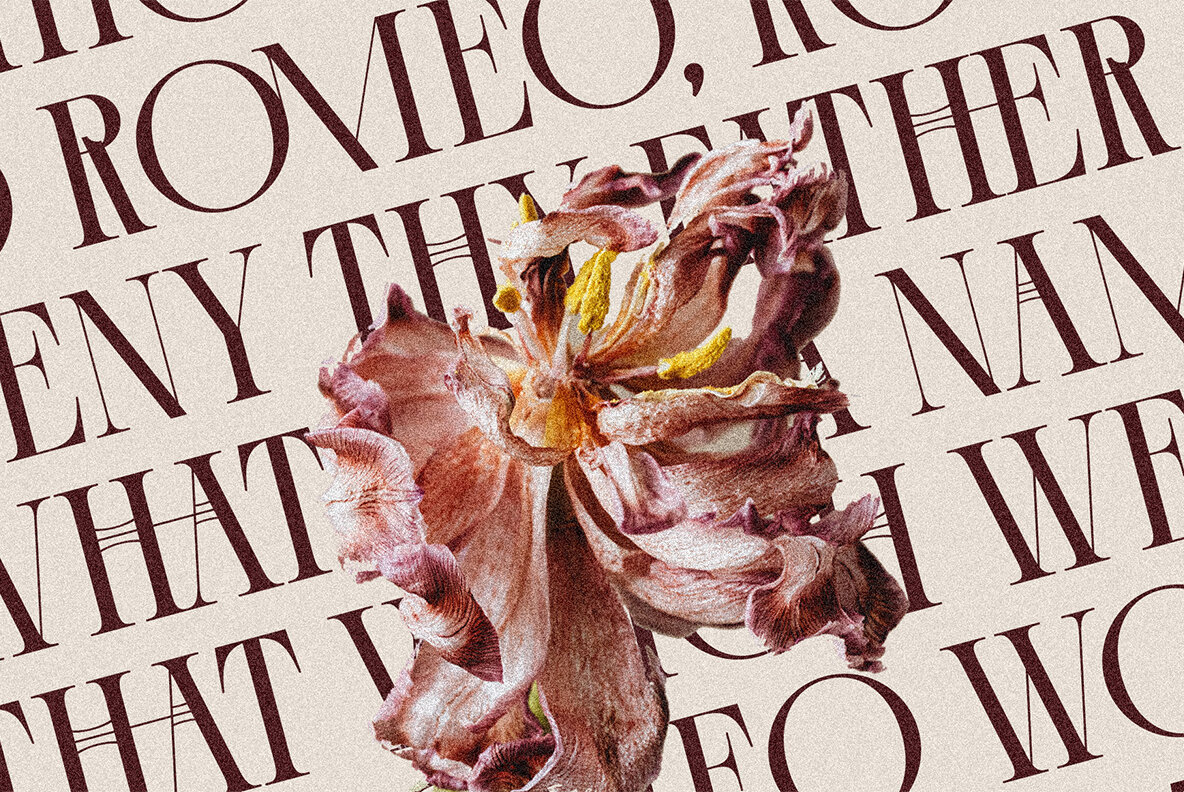 Cosmic Solace Typeface 7