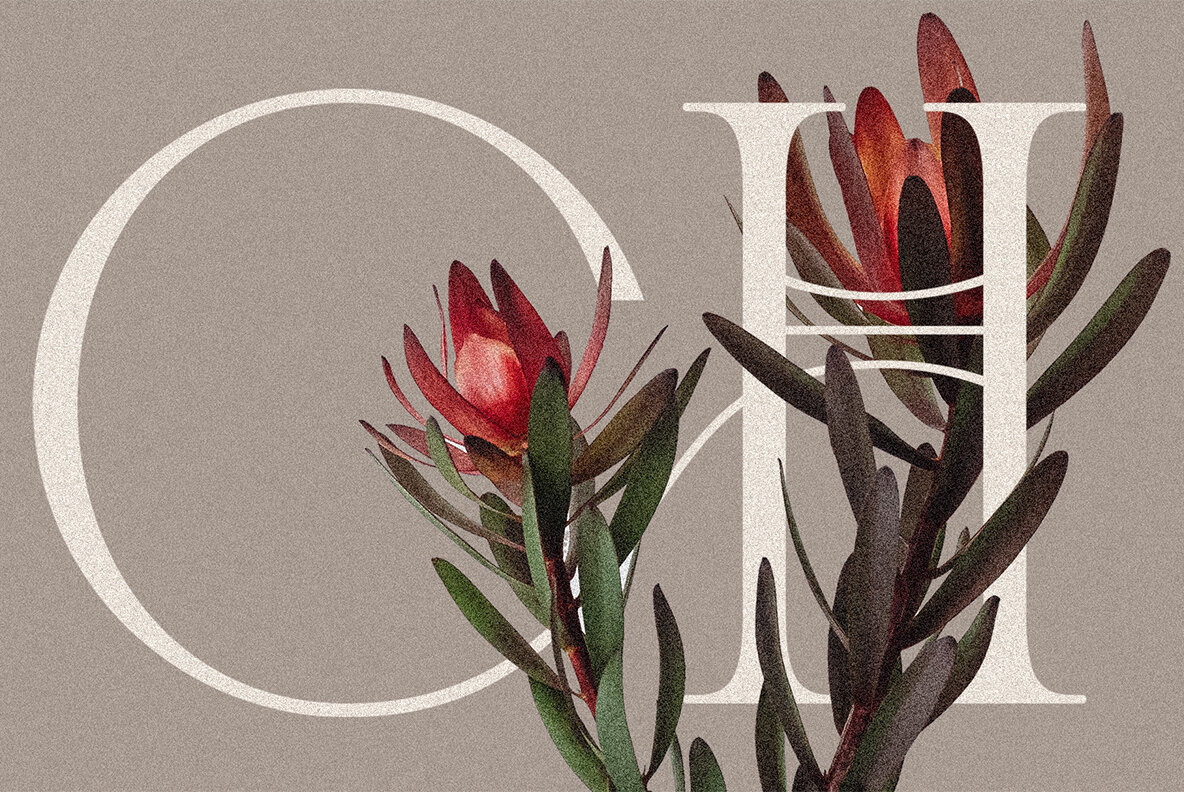 Cosmic Solace Typeface 14