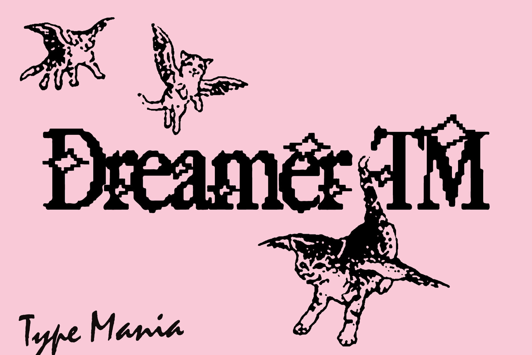 Dreamer TM 1