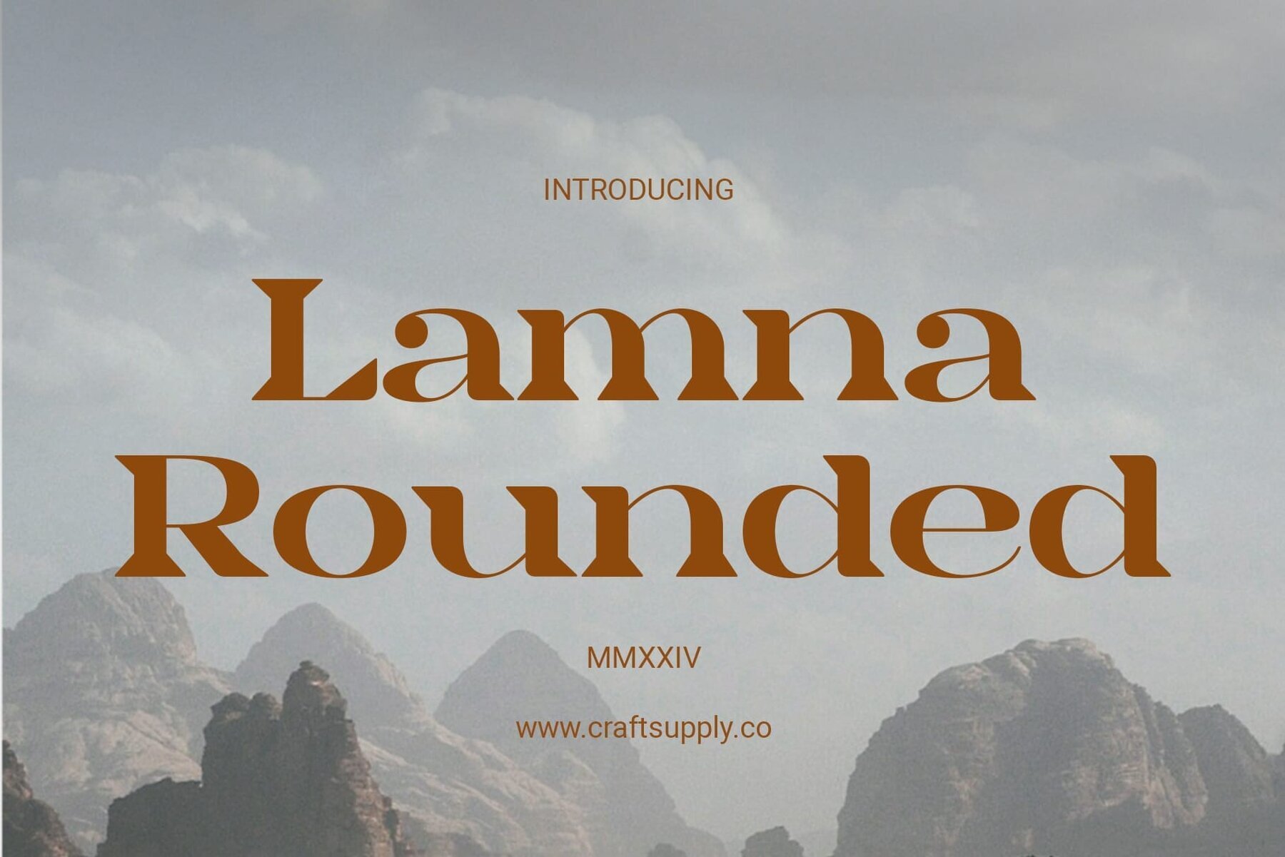 Lamna Rounded 1